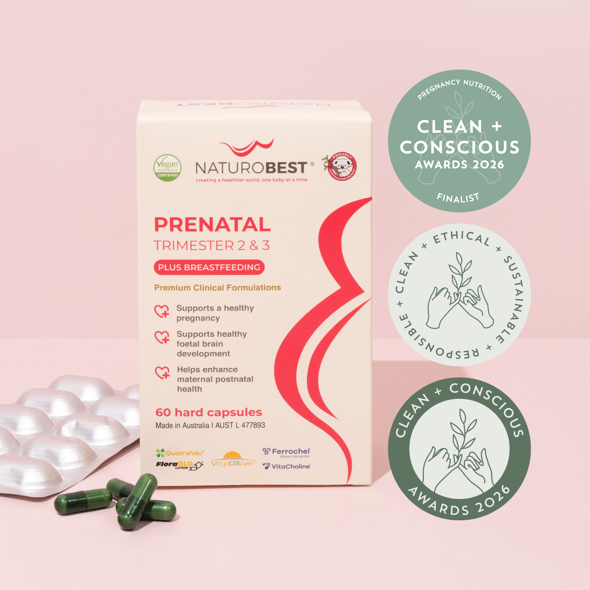 Prenatal Trimester 2 & 3 Plus Breastfeeding